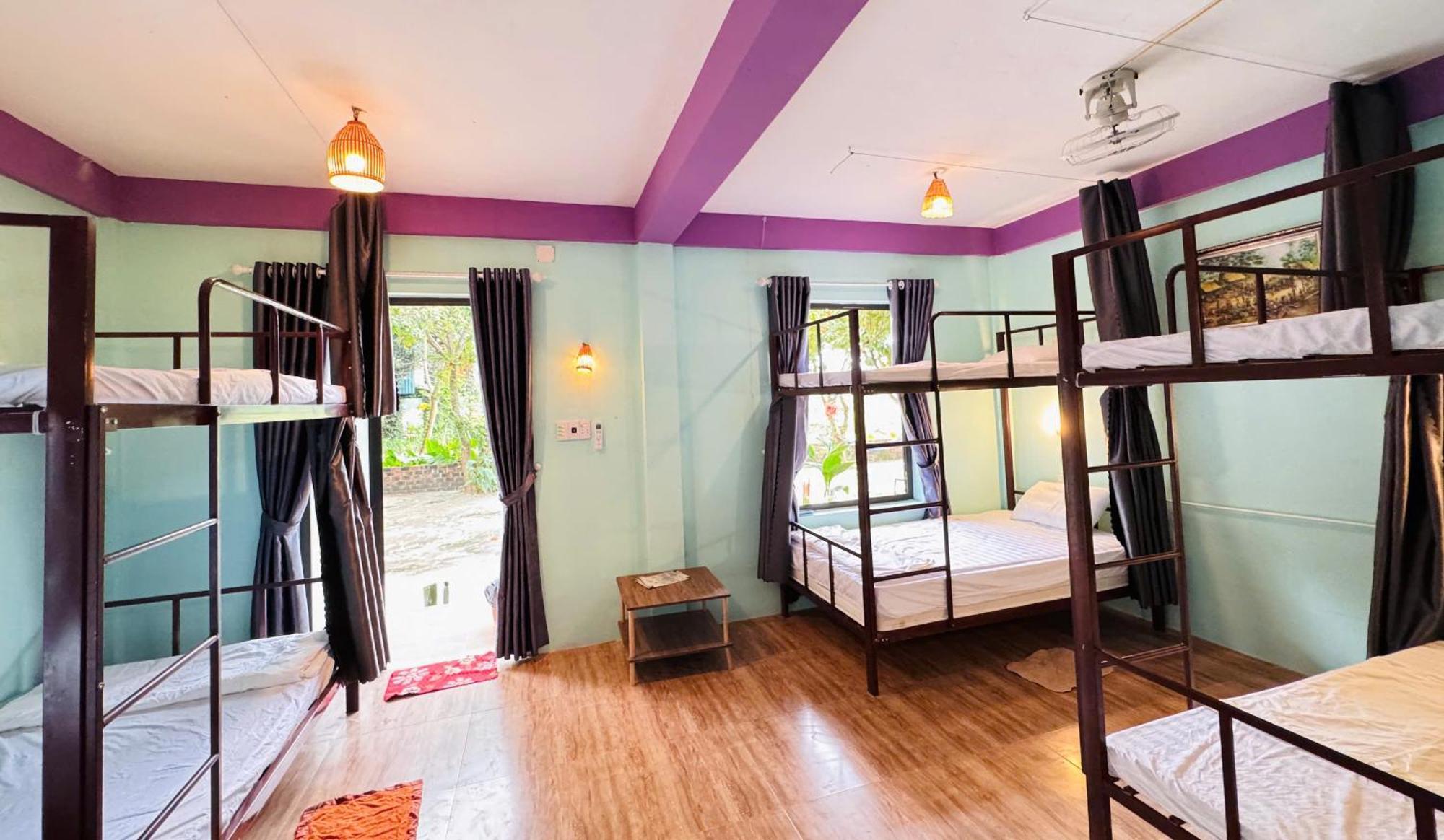 Jungle Boss Homestay Phong Nha Eksteriør billede