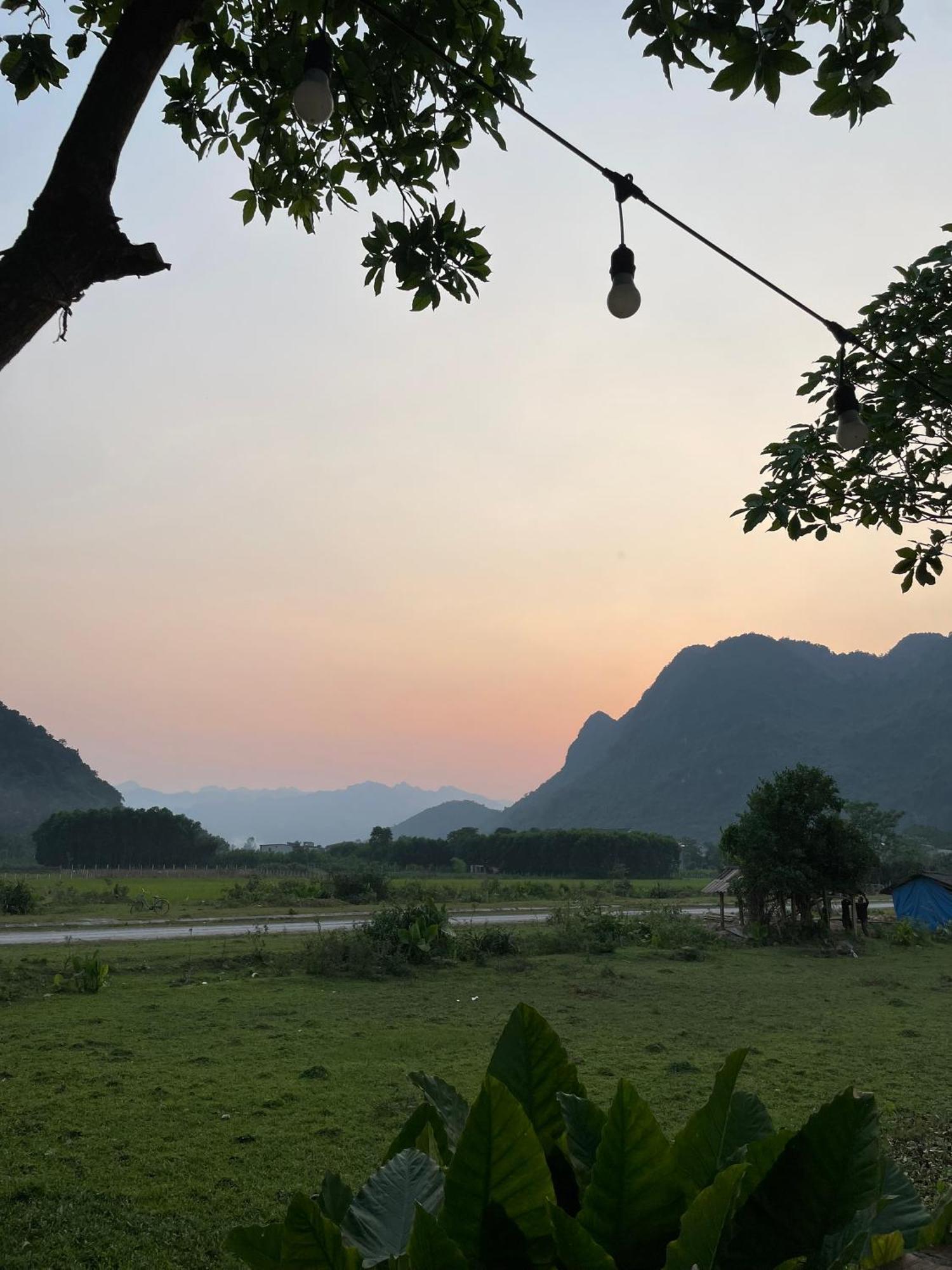 Jungle Boss Homestay Phong Nha Eksteriør billede