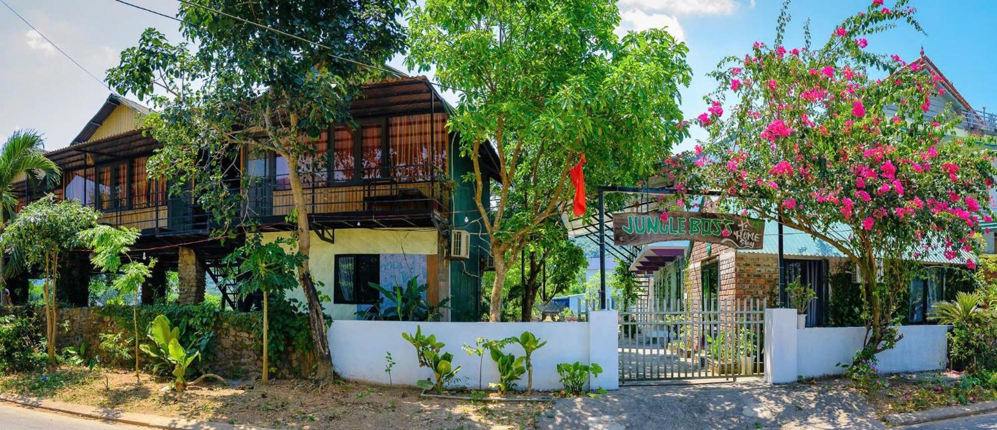 Jungle Boss Homestay Phong Nha Eksteriør billede