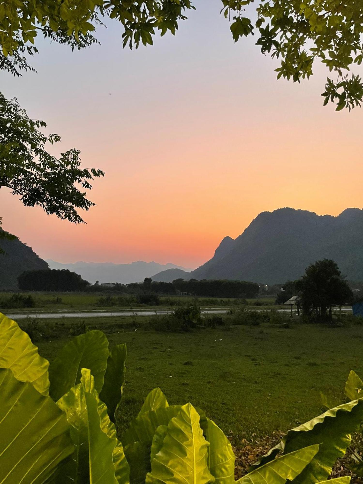 Jungle Boss Homestay Phong Nha Eksteriør billede