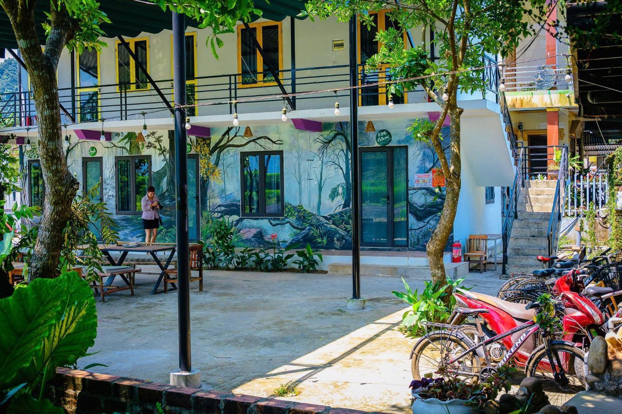 Jungle Boss Homestay Phong Nha Eksteriør billede