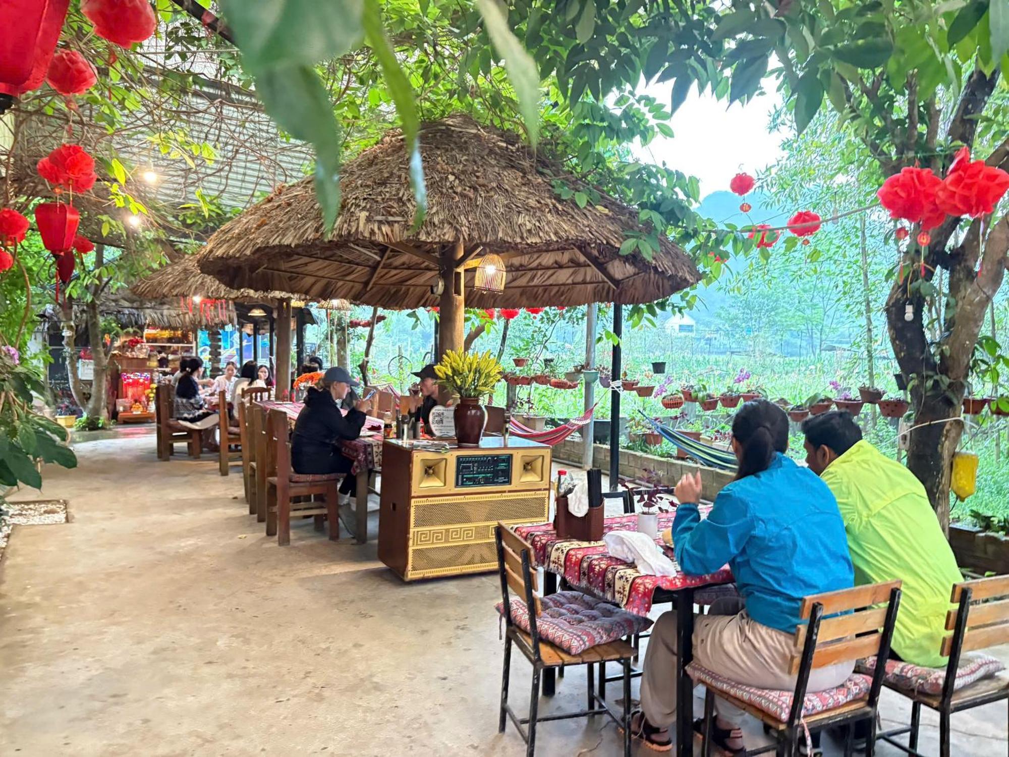 Jungle Boss Homestay Phong Nha Eksteriør billede