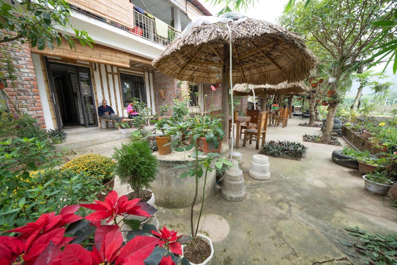 Jungle Boss Homestay Phong Nha Eksteriør billede