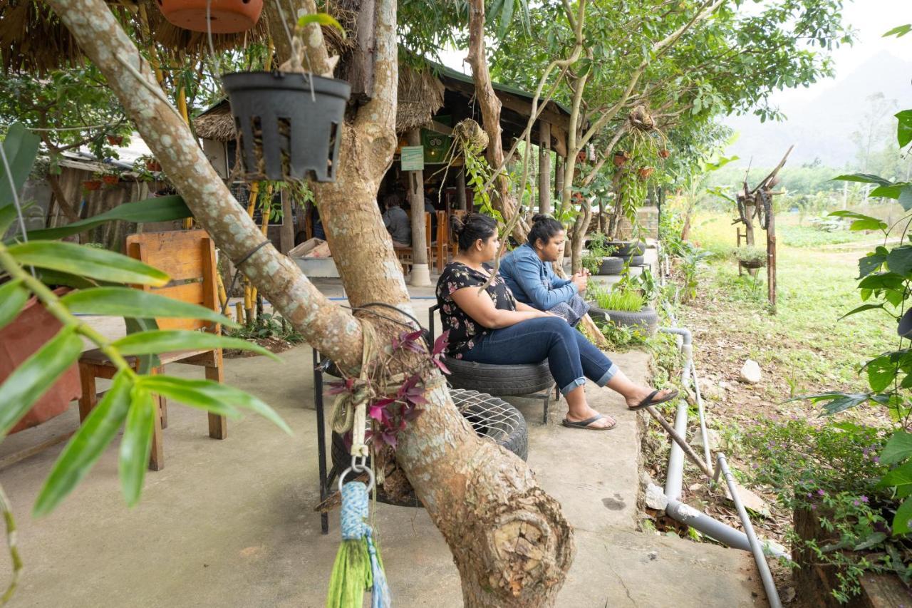 Jungle Boss Homestay Phong Nha Eksteriør billede