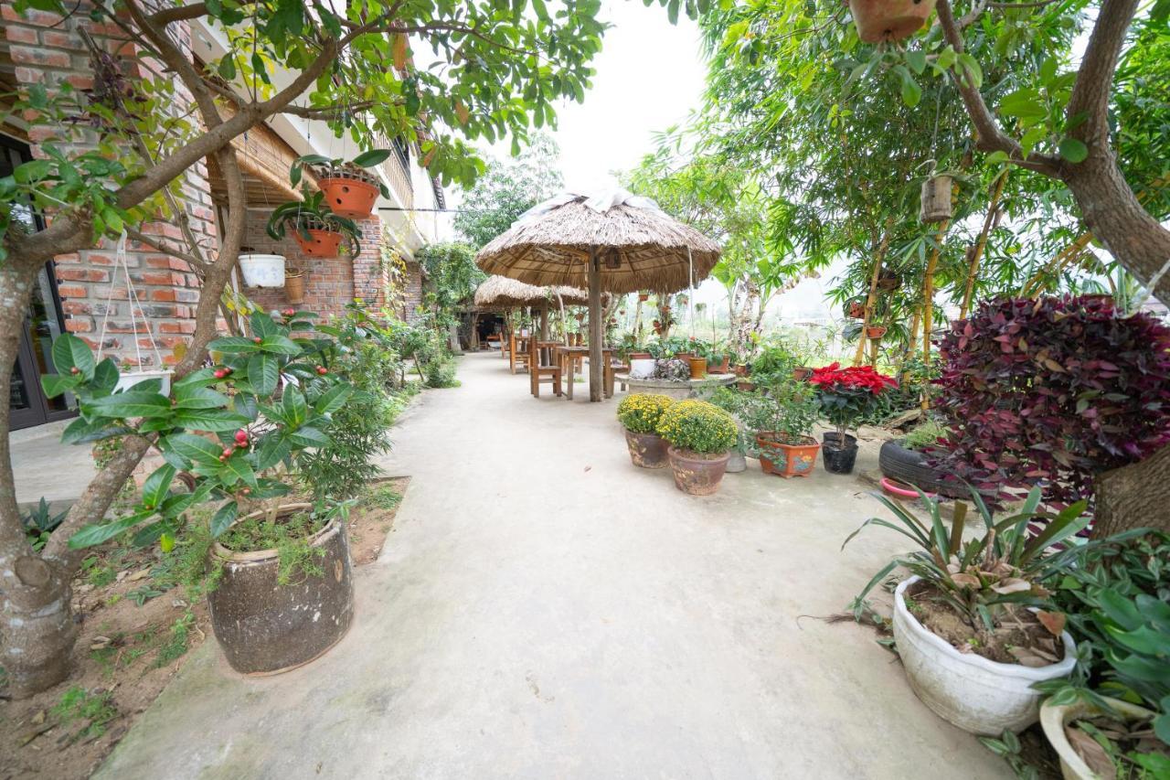 Jungle Boss Homestay Phong Nha Eksteriør billede