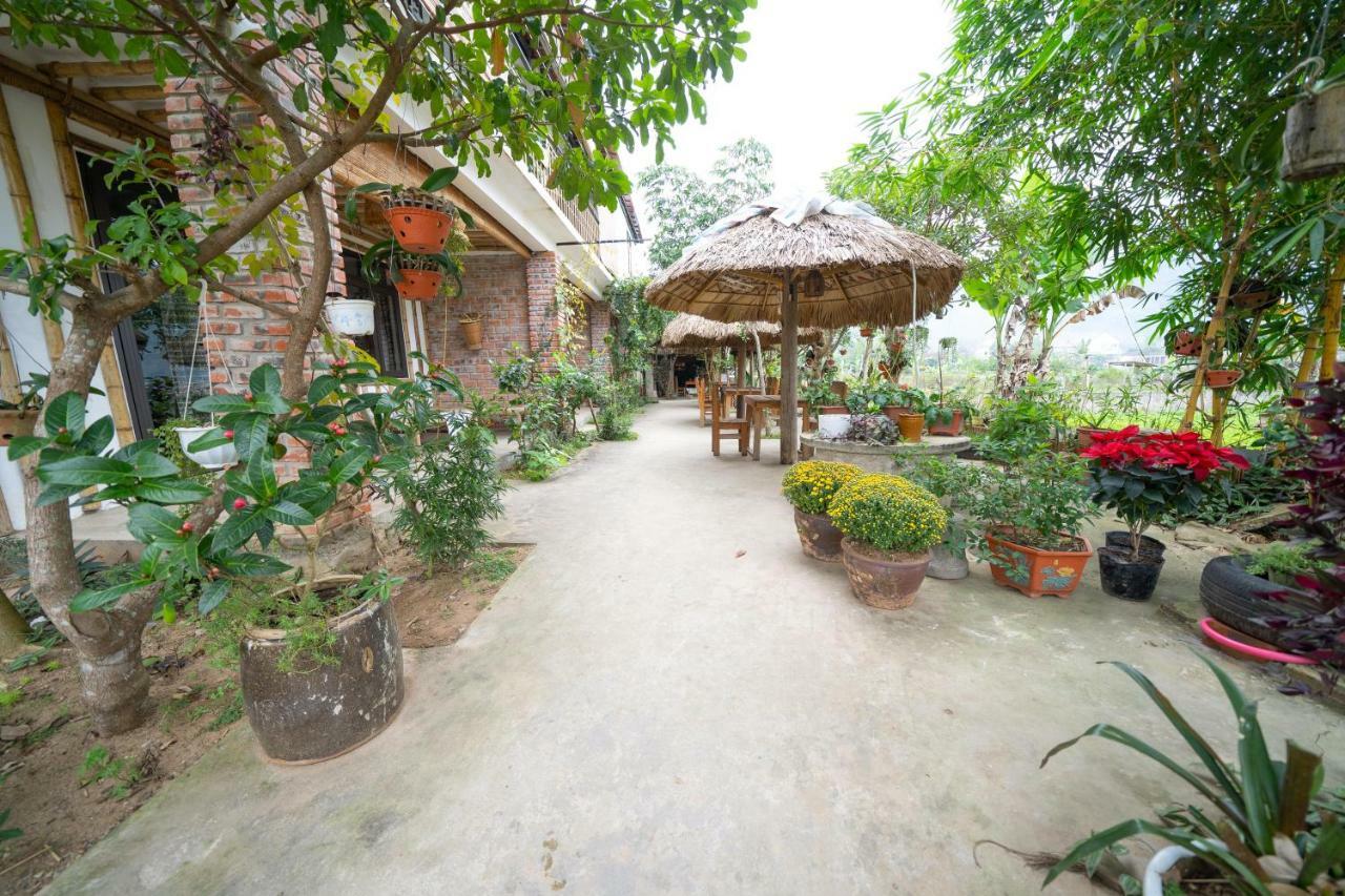 Jungle Boss Homestay Phong Nha Eksteriør billede